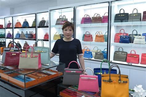 hermes singapore website
